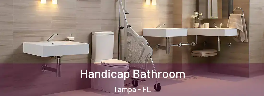Handicap Bathroom Tampa - FL