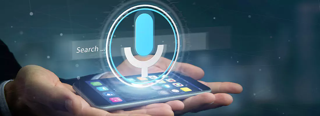Enhance Security with Voice Recognition Access Systems in Tampa, FL