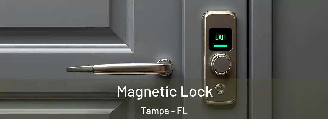 Magnetic Lock Tampa - FL